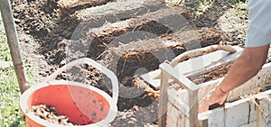 Farmer growing straw mushroom on rice straw