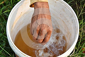 Farmer hand drops liquid chemical to water in white bucket preparation for spray machine in rice field