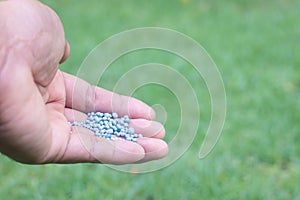 Farmer hand holding chemical fertilizer for planting and plantation on blurred green nature lawn