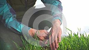 farmer hand. man farmer a working in the field inspects the crop wheat germ eco natural a farming industry. business