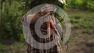 Farmer hands holding a bunch of fresh organic carrots and beets vegetables with drops of water on eco farm in sunset light.