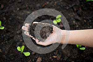 Farmer hands holding soil organic