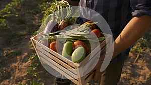 Farmer hands holding vegetable wooden basket full of fresh vegetables.