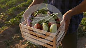Farmer Hands Holding Wooden Box with Vegetables