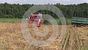 Farmer harvest wheat plant with red combine in agriculture field