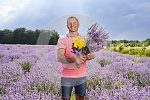 Farmer harvesting lavender