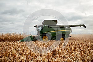 Farmer harvesting maize in autumn