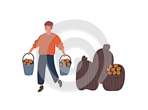 Farmer harvesting potatoes flat vector illustration. Young rancher, farm worker carrying buckets cartoon character