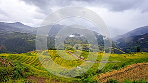 Farmer harvesting salt in salt fields