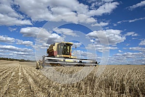 A farmer harvests a broadacre paddock of wheat.