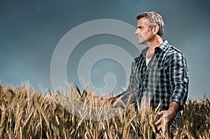 Farmer has care of his wheat field