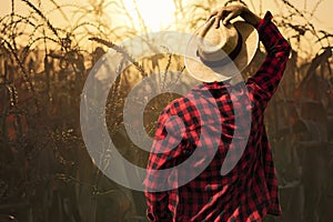 Farmer with hat looking the corn plantation field at sunset concept image
