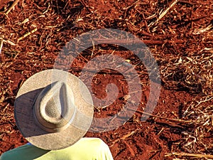 Farmer with hat observes a field of land where a sugar cane crop