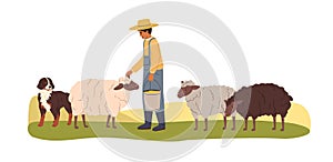 Farmer, herdsman with sheep, shepherd dog in countryside. Farm agriculture worker, sheepman and ewes at country field photo