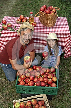 Farmer and His Little Daughter With A Crate of Appetizing Red Apples in Sunny Orchard