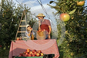 Farmer and His Little Daughter Eating Apples and Having Fun in Sunny Orchard