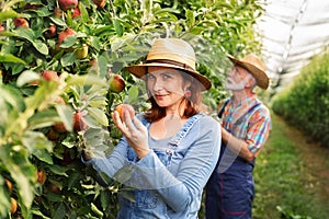 Farmer and his wife in apple orchard