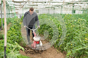 Farmer hoeing soil in greenhouse