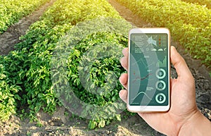 Farmer hold a smartphone on a background of a potato plantation. Smart agriculture concept. Agricultural startup. Automation and