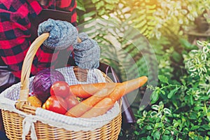 Farmer holding basket of fresh tomatoes, carrots,cabbage at farm outdoor. Food, vegetables, agriculture, organic food
