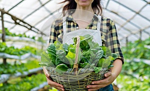 Farmer Holding a Basket Full of Freshly Harvested Leafy Greens in a Greenhouse