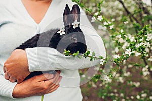 Farmer holding black rabbit in spring garden. Little bunny with flowers on head sitting in hands