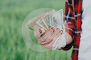 Farmer holding dollar banknotes money in wheat field