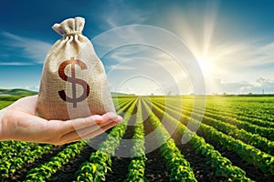 Farmer holding a dollars money bag on the background of agricultural plantations. Agricultural startups. Lending and subsidizing photo