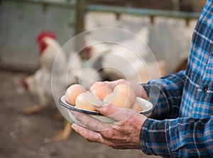Farmer holding fresh organic eggs