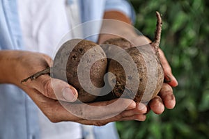 Farmer holding fresh ripe beetroots outdoors, closeup