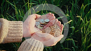 Farmer holding grain and metal coins. Male cupped hands pouring whole wheat kernels. Barley in palms good harvest