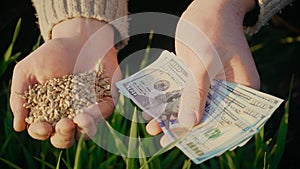 Farmer holding grain and money. Male cupped hands pouring whole wheat kernels. Barley in palms good harvest