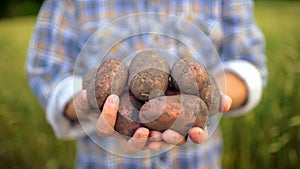 Farmer holding in hands biological product of potatoes. Concept: Farmer`s market, Organic Farming, Farm Harvest Crop