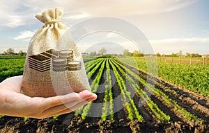 Farmer holding a money bag on the background of carrot plantations. Agricultural startups. Lending and subsidizing farmers. photo