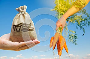 Farmer holding a money bag on the background of fresh carrot. Agricultural startups. Lending and subsidizing farmers. Grants, photo