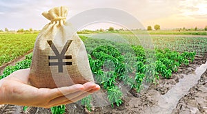 Farmer holding a money bag on the background of peppers plantations. The development of agriculture industry. Agricultural photo