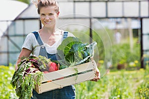 Farmer holding organic produce in wooden box on her farm