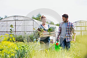 Farmer holding organic produce in wooden box on her farm with gardener holding watering can next to her