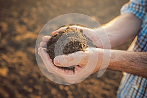 Farmer holding pile of arable soil in hands