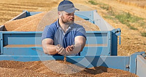 Farmer holding ripe wheat grains in his hands