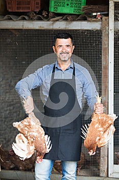 Farmer holding two chickens for legs