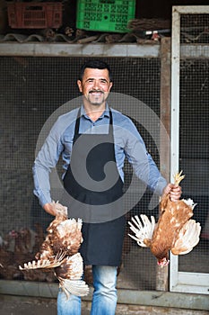 Farmer holding two chickens for legs