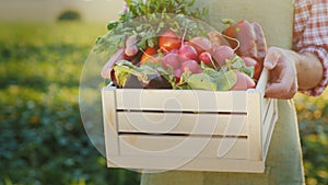 The farmer is holding a wooden box with fresh vegetables. Organic agriculture concept