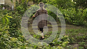 Farmer holding wooden box full of fresh organic vegetables goes along the garden beds on eco farm in sunset light.