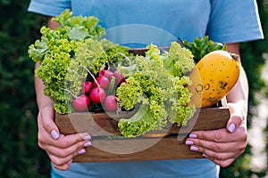 Farmer holding wooden box full of fresh raw vegetables. Basket with vegetable