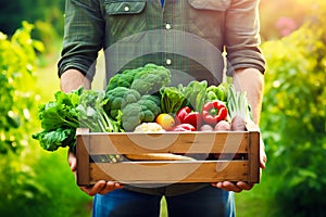 Farmer holding wooden box full of fresh raw vegetables. harvesting concept