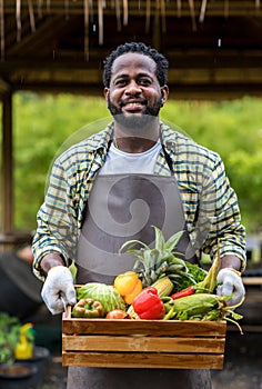 Farmer holding wooden box full of fresh vegetables. Basket with vegetable. Man holding big box with different fresh farm vegetable