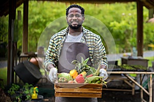 Farmer holding wooden box full of fresh  vegetables. Basket with vegetable. Man holding big box with different fresh farm vegetabl