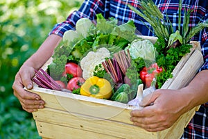 Farmer holding wooden crate full of raw vegetables. Harvest concept