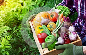 Farmer holds in hands wooden box with autumn crop of organic vegetables against backyard background